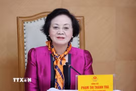 Phó Thủ tướng Phạm Thị Thanh Trà phát biểu chỉ đạo. (Ảnh: Văn Điệp/TTXVN)