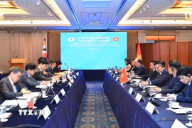 Phái đoàn Việt Nam và Hàn Quốc tham gia phiên họp Ủy ban Công nghiệp chung Việt Nam-Hàn Quốc lần thứ 15 và Ủy ban Hiệp định Thương mại tự do (FTA) Việt Nam-Hàn Quốc lần thứ 9. (Ảnh: Khánh Vân/TTXVN)