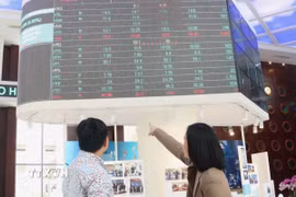 Nhà đầu tư theo dõi diễn biến thị trường chứng khoán tại Sở Giao dịch Chứng khoán Thành phố Hồ Chí Minh (HOSE). (Ảnh: Hứa Chung/TTXVN)