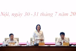 Phó Chủ tịch Quốc hội Nguyễn Thị Thanh chủ trì Phiên họp toàn thể lần thứ ba Ủy ban Văn hóa và Xã hội của Quốc hội. (Ảnh: Tuấn Anh/TTXVN)