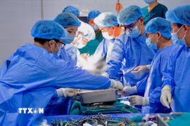 Bệnh viện Trung ương Huế thực hiện ca ghép thận ứng dụng công nghệ bảo quản tạng bằng máy LifePort. (Ảnh: TTXVN phát)