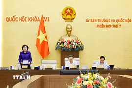 Phó Chủ tịch Quốc hội Nguyễn Thị Hồng phát biểu. (Ảnh: Doãn Tấn/TTXVN)