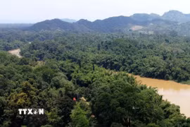 Chuyển giao Vườn quốc gia Cát Tiên về Ủy ban Nhân dân thành phố Đồng Nai quản lý. (Ảnh minh họa: Sỹ Tuyên/TTXVN)