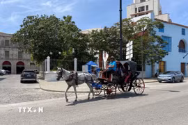 Xe ngựa đưa du khách tham quan thủ đô La Habana (Cuba), ngày 20/8/2026. (Ảnh: Ngọc Duy/TTXVN)