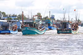Tỉnh Cà Mau đã triển khai sử dụng phần mềm quản lý liên thông kiểm soát tàu cá ra, vào cửa biển phải có sự kiểm soát của Cảng cá, Văn phòng IUU, Trạm kiểm soát Biên phòng. (Ảnh: Huỳnh Anh/TTXVN)
