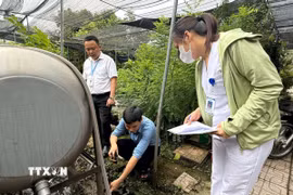 Các vũng nước đọng là môi trường thuận lợi cho muỗi và bọ gậy phát triển, làm tăng nguy cơ xuất hiện và lan rộng các ổ dịch sốt xuất huyết. (Ảnh: Nguyễn Cúc/TTXVN)