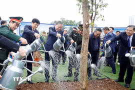 Tổng Bí thư Tô Lâm và các đại biểu tham gia trồng cây tại Lễ phát động “Tết trồng cây đời đời nhớ ơn Bác Hồ” Xuân Bính Ngọ 2026. (Ảnh: Thống Nhất/TTXVN)