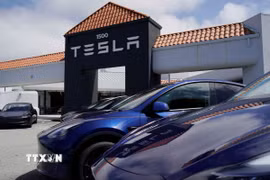 Ôtô điện của hãng Tesla tại cửa hàng ở San Mateo, California, Mỹ. (Ảnh: THX/TTXVN)