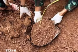 "Chiến dịch 500 ngày đêm" tập trung xác định danh tính hài cốt liệt sỹ, tìm kiếm quy tập hài cốt liệt sỹ. (Nguồn: TTXVN phát)
