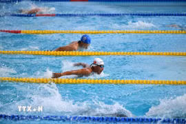 Đoàn Việt Nam kỳ vọng giành HCV ở môn bơi tại Asian Para Games 2026. (Ảnh TTXVN phát)