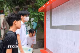 Thí sinh xem số báo danh dự thi vào lớp 10. (Ảnh: Hoàng Hiếu/TTXVN)
