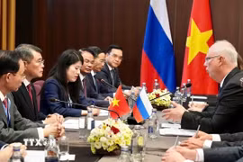 Thủ tướng Chính phủ Lê Minh Hưng tiếp Tổng Giám đốc Quỹ Đầu tư trực tiếp Nga Kiril Dmitriev. (Ảnh: TTXVN)
