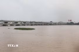 Sông Đồng Nai đoạn qua cầu Hóa An, thành phố Đồng Nai. (Ảnh: Công Phong/TTXVN)