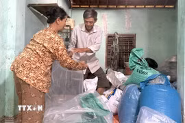 Hộ gia đình ông Phan Tấn Hùng (thôn Phú Hữu, xã Hòa Thịnh, tỉnh Đắk Lắk) bỏ lúa gạo vào túi ni lông để di chuyển lên cao đầu mùa mưa bão. (Ảnh: Tường Quân/TTXVN)
