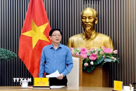 Phó Thủ tướng Hồ Quốc Dũng phát biểu chỉ đạo tại cuộc họp. (Ảnh: Diệp Trương/TTXVN)