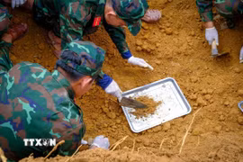 Cán bộ, chiến sĩ Đội K71, Bộ Chỉ huy Quân sự tỉnh Tây Ninh tiến hành đào tìm, quy tập hài cốt liệt sỹ tại khu vực được xác định có thông tin về mộ liệt sỹ. (Ảnh: Minh Phú - TTXVN)