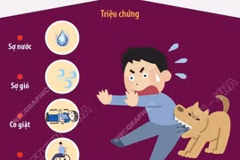 Các triệu chứng của bệnh dại và cách phòng tránh