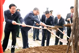 Tổng Bí thư Tô Lâm và đoàn công tác Trung ương dự Lễ phát động “Tết trồng cây đời đời nhớ ơn Bác Hồ” Xuân Ất Tỵ 2025. (Ảnh: Thống Nhất/TTXVN)