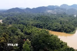 Khu cứu hộ linh trưởng tại Đảo Tiên (được bao quanh bởi sông Đồng Nai) thuộc Trung tâm Cứu hộ, Bảo tồn và Phát triển sinh vật, Vườn Quốc gia Cát Tiên, nơi đang chăm sóc, cứu hộ hàng chục cá thể linh trưởng nguy cấp. (Ảnh: Sỹ Tuyên/TTXVN)