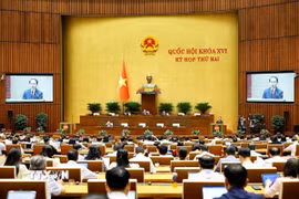 Bộ trưởng Bộ Tư pháp Hoàng Thanh Tùng, thừa ủy quyền của Thủ tướng Chính phủ trình bày Tờ trình về dự án Luật Đất đai (sửa đổi). (Ảnh: Doãn Tấn/TTXVN)