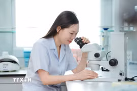 Phó Giáo sư, Tiến sỹ, Bác sỹ Nguyễn Thị Thu Phương làm việc trong phòng thí nghiệm. (Ảnh: Mạnh Minh/TTXVN)