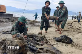 Nhiều vật dụng được phát hiện trong quá trình trục vớt. (Ảnh: Sỹ Thắng/TTXVN)