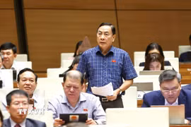Đại biểu Quốc hội tỉnh Đồng Tháp Phạm Văn Hòa phát biểu. (Ảnh: Doãn Tấn/TTXVN)