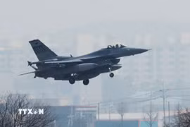 Máy bay chiến đấu tại căn cứ không quân Osan ở Pyeongtaek, Hàn Quốc. (Ảnh minh họa: Yonhap/TTXVN)