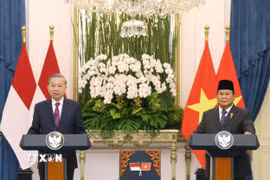Tổng Bí thư Tô Lâm và Tổng thống Cộng hòa Indonesia, Chủ tịch Đảng Phong trào Indonesia vĩ đại (Gerindra) Prabowo Subianto phát biểu với báo chí. (Ảnh: Thống Nhất/TTXVN)