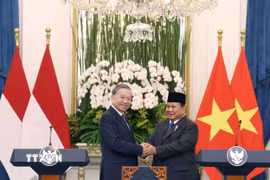 Tổng Bí thư Tô Lâm và Tổng thống Cộng hòa Indonesia, Chủ tịch Đảng Phong trào Indonesia vĩ đại (Gerindra) Prabowo Subianto phát biểu với báo chí. (Ảnh: Thống Nhất/TTXVN)