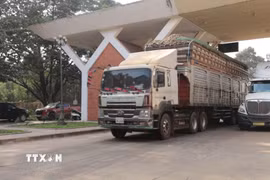 Những đoàn xe chở nông sản đầu tiên đã chính thức được thông quan sau 3 ngày chờ đợi. (Ảnh: Thanh Tân/TTXVN)