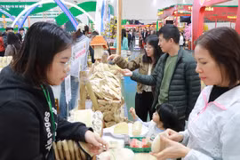 Hội chợ Mùa Xuân rộn ràng không khí mua sắm khi người dân đổ về tham quan.