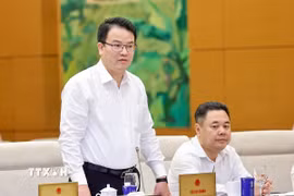 Thứ trưởng Bộ Tài chính Trần Quốc Phương phát biểu. (Ảnh: Doãn Tấn/TTXVN)