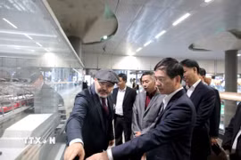 Đoàn công tác thành phố Quảng Ninh khảo sát Nhà ga trung tâm Berlin. (Ảnh: TTXVN phát)