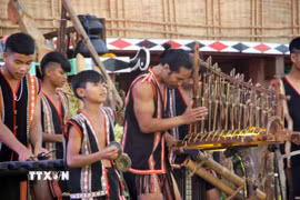 Hoạt động phục dựng lễ mừng nhà rông mới nằm trong khuôn khổ Tuần lễ Hoa dã quỳ-Núi lửa Chư Đang Ya và Festival Cồng chiêng Gia Lai (30/10-8/11). (Ảnh minh họa: Trịnh Bang Nhiệm/TTXVN)