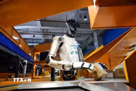 Robot hình người phân loại bưu kiện tại một trung tâm chuyển phát ở thành phố Thâm Quyến, tỉnh Quảng Đông, Trung Quốc. (Ảnh: THX/TTXVN phát)