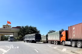 Tại Quảng Trị, trên tuyến biên giới và khu vực cửa khẩu, các lực lượng chức năng chủ động triển khai đồng bộ nhiều biện pháp nhằm ngăn chặn buôn lậu dịp cuối năm. (Ảnh: Võ Dung/TTXVN)