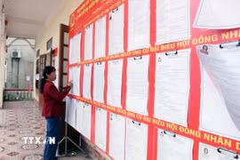 Việc niêm yết danh sách và tiểu sử các ứng cử viên được các đơn vị bầu cử thực hiện theo đúng quy định. (Ảnh: Nguyễn Chinh/TTXVN)