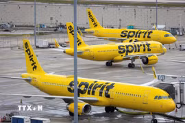 Máy bay của Hãng hàng không Spirit Airlines tại sân bay quốc tế Fort Lauderdale - Hollywood ở thành phố Fort Lauderdale, bang Florida, Mỹ ngày 23/4/2026. (Ảnh: Reuters/TTXVN)