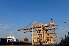 Cảng Hải Phòng đang viết tiếp "lời căn dặn của Người" bằng tinh thần đổi mới sáng tạo, hiện đại hóa hạ tầng, khẳng định vị thế "trái tim kinh tế biển" của cả nước. (Ảnh: TTXVN phát)