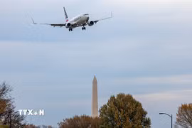 Máy bay của Hãng hàng không American Airlines. (Ảnh: THX/TTXVN)