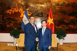 Phó Thủ tướng, Bộ trưởng Ngoại giao Bùi Thanh Sơn tiếp Bộ trưởng Ngoại giao Nicaragua Valdrack Jaentschke. (Ảnh: Tiến Lực/TTXVN)
