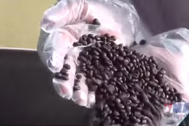 Càphê đặc sản của Việt Nam xuất khẩu đạt giá kỷ lục