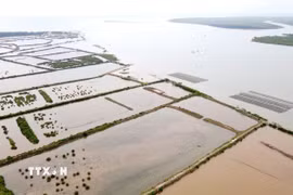 Xã Hưng Phú (Hưng Yên) tận dụng tiềm năng thế mạnh ven biển để phát triển kinh tế xã hội. (Ảnh: Thế Duyệt/TTXVN)