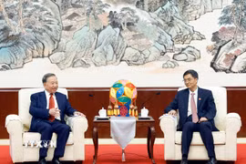 Tổng Bí thư, Chủ tịch nước Tô Lâm tiếp đồng chí Trần Cương, Ủy viên Trung ương Đảng, Bí thư khu ủy Khu tự trị dân tộc Choang Quảng Tây. (Ảnh: Thống Nhất/TTXVN)