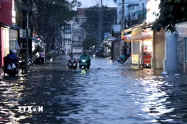 Mưa lớn kết hợp với triều cường gây ngập trên tuyến đường Nguyễn Thái Học ở phường Long Châu, tỉnh Vĩnh Long. (Ảnh: Lê Thúy Hằng/TTXVN)