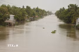 El Nino ảnh hưởng tới công nghiệp, năng lượng, gây nắng nóng, hạn hán kéo dài, xâm nhập mặn, thiếu nước... (Ảnh: Thu Hiền/TTXVN)