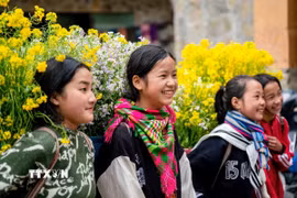 Ảnh minh họa. (Ảnh: Khánh Hòa/TTXVN)