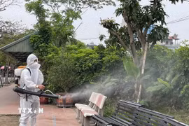 Ảnh minh họa. (Ảnh: TTXVN phát)