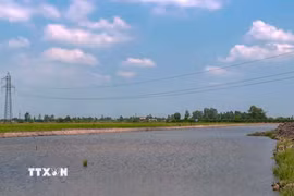 Đường điện 220kV giao chéo dự án thành phần 2 cao tốc Châu Đốc-Cần Thơ-Sóc Trăng qua địa bàn xã Đông Hiệp, thành phố Cần Thơ. (Ảnh: Thanh Liêm/TTXVN)